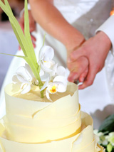 Wedding_Cake_Bride_Groom